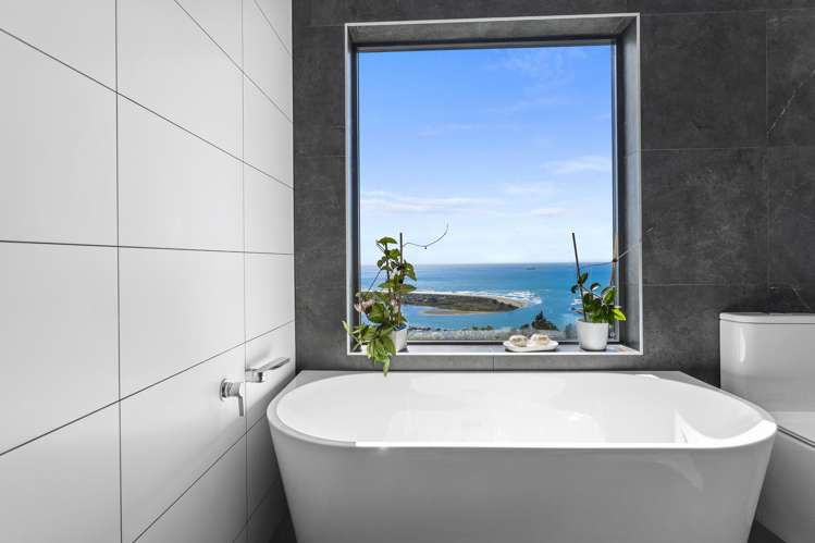 6 Cirrus Lane Mount Pleasant_19