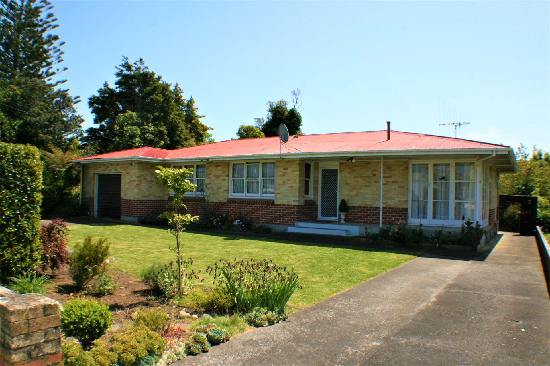 8 Mabel Street Levin_0