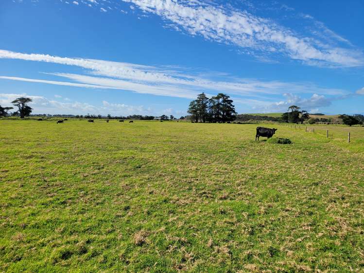 1919 Pouto Road Te Kopuru_20