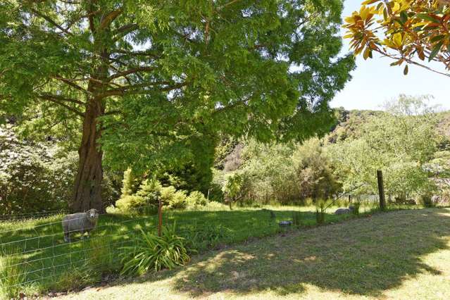 70 Blue Mountains Road Pinehaven_4