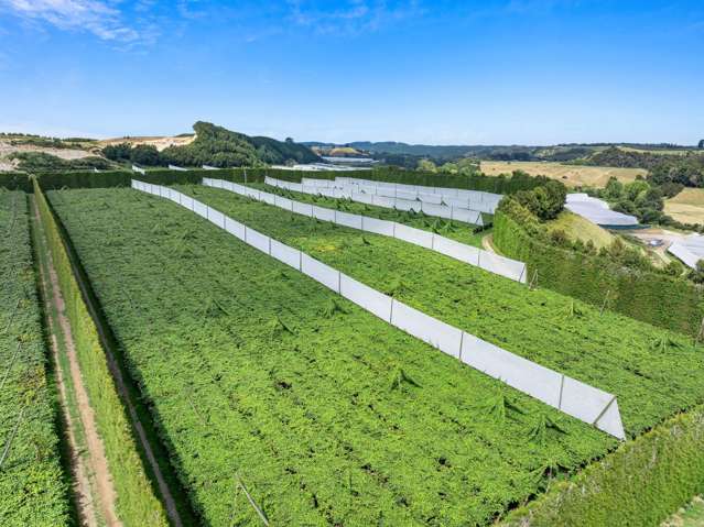 80 Roydon Downs Road Paengaroa_4