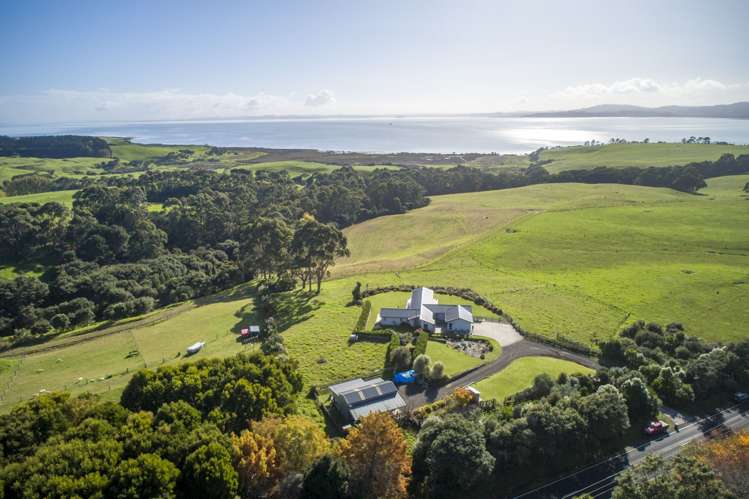 98 Shelly Beach Road Shelly Beach_22