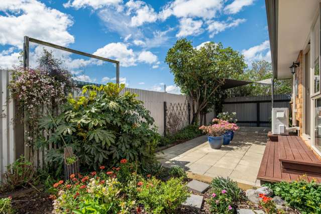 6a Rousehill Street Renwick_3