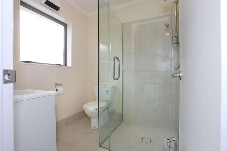 17 Johnson Street Bulls_12