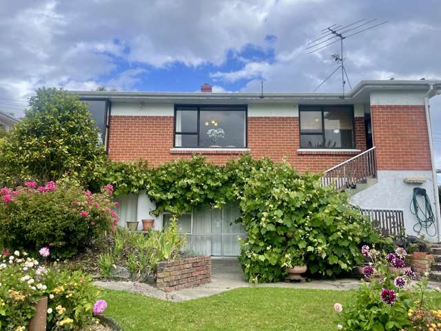 245 Pine Hill Road Dalmore_1