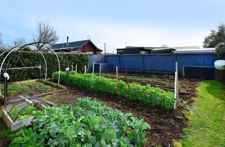 7 Pultney Street Leeston_23