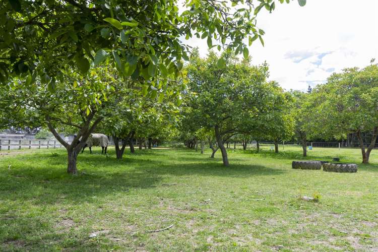 843 Tram Road Ohoka_23