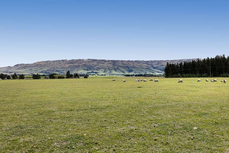 5622 Middlemarch-Sutton Road Middlemarch_5