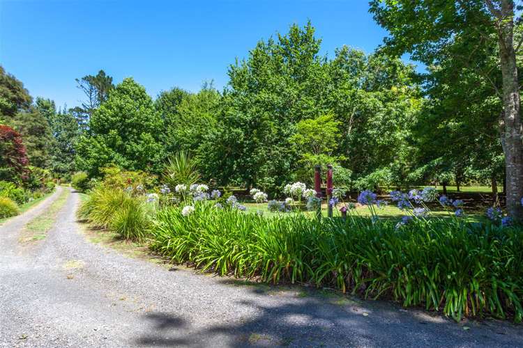 345 Hikuai Settlement Road Hikuai_19