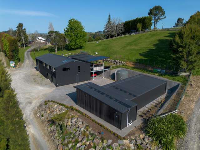 325F Esdaile Road Whakamarama_3