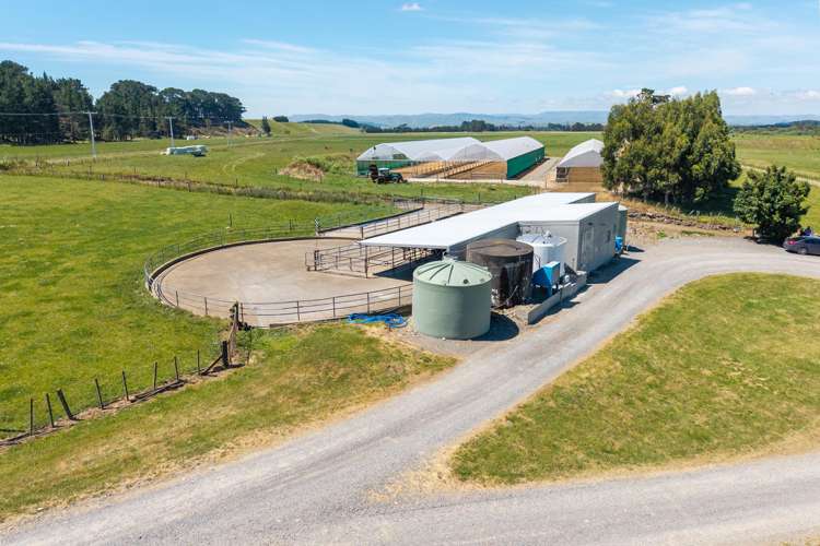 493 Smith Road Dannevirke_5