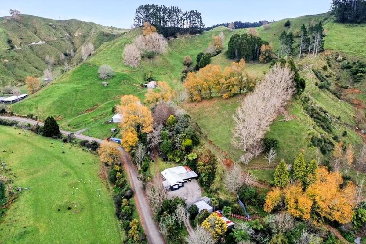 822 Motukawa Road_0