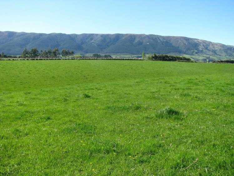 369 Black Gully Road West West Otago Surrounds_6