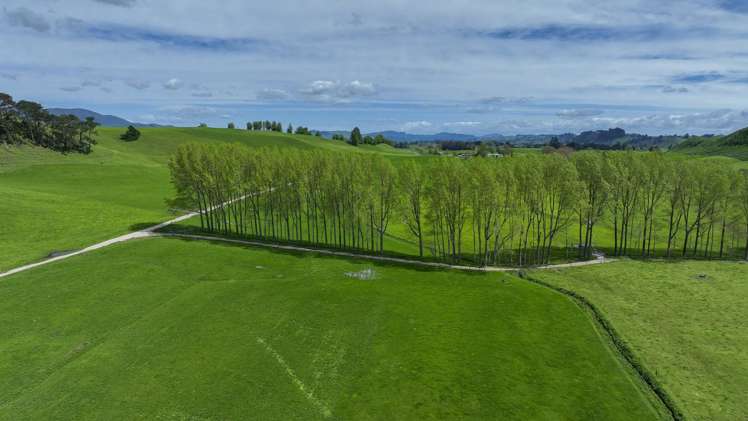 62 Rehi Road Ngakuru_7