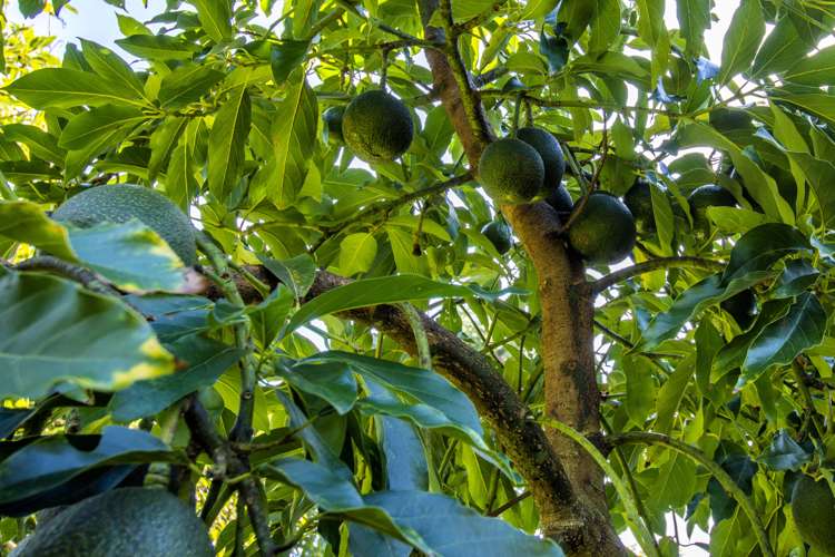 89c Merrick Road Pyes Pa_21