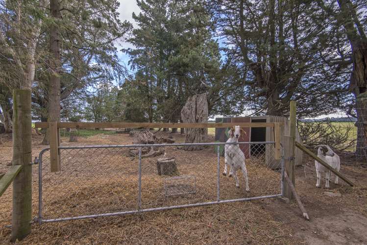 156 Bleak House Road Darfield_17