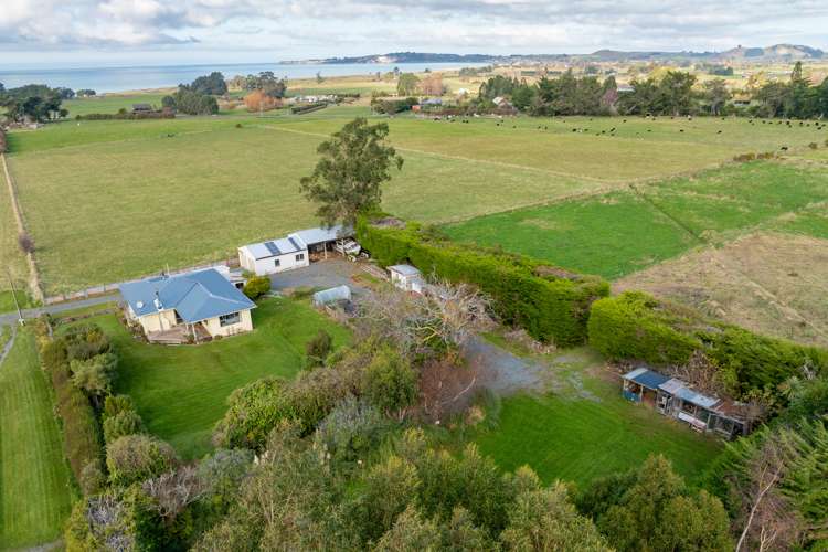 47 Wilderness Road Kaikoura_25