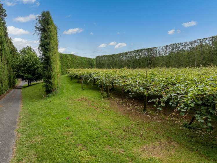 19E Amber Lane Karapiro_9