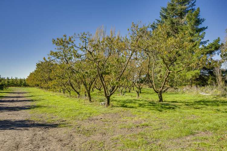 83 Mount Erin Road Havelock North_8