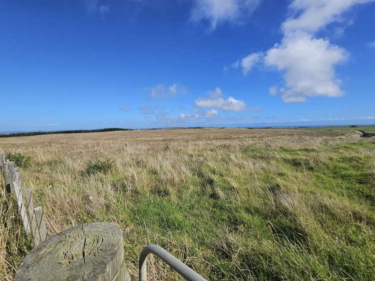 1 Basin Road Dargaville_6