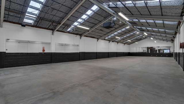 33 Battersea Street Sydenham_1