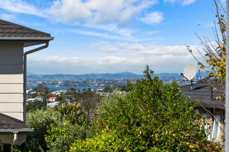 20 Chatswood Grove Chatswood_41