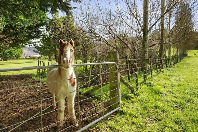 111A Johnsons Road Whitemans Valley_1