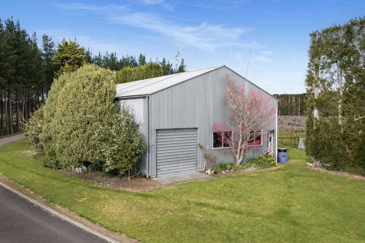 195A Tuapiro Road Katikati_20