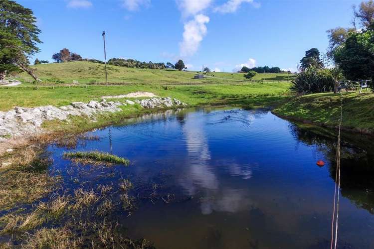 12 Borrows Road Wellsford_19