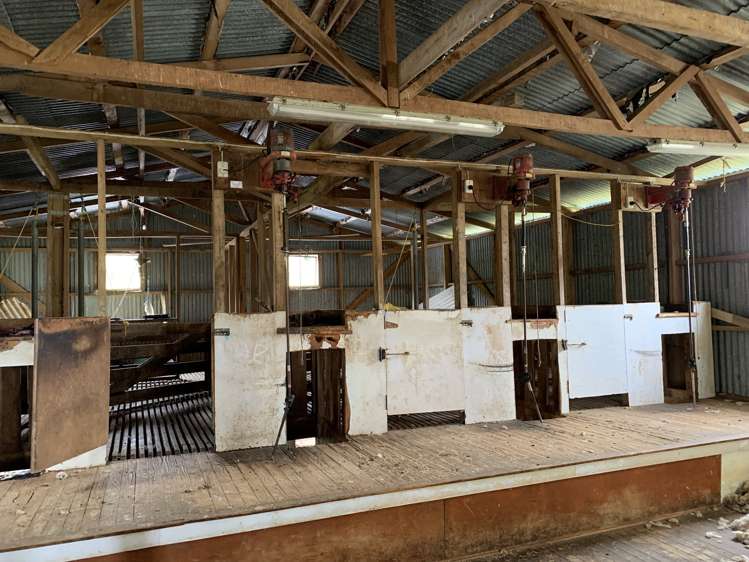 30 Heao Road Pohokura and Surrounds_14