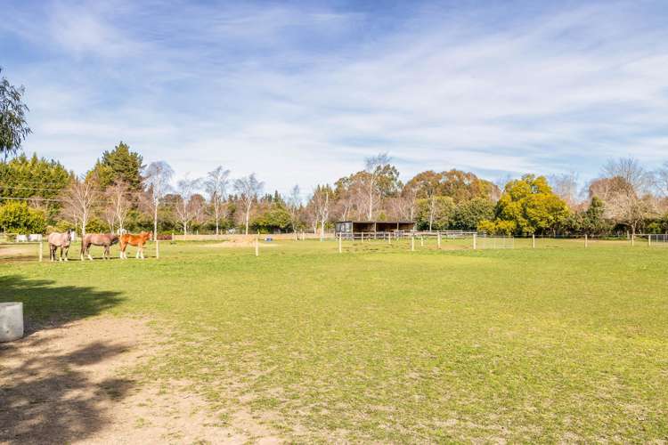 638 Oxford Road Fernside_27