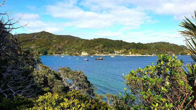 211 Shoal Bay Road Great Barrier Island (Aotea Island)_2