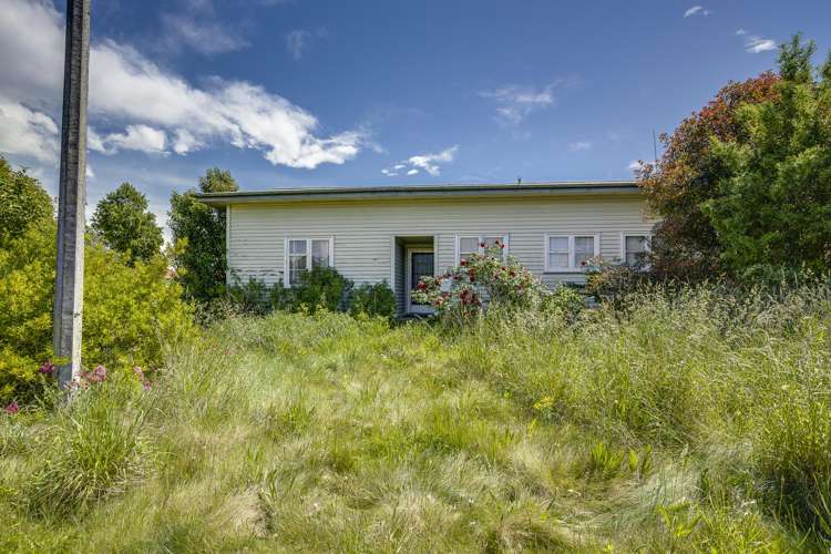 700 Tamatea Street Mahora_17