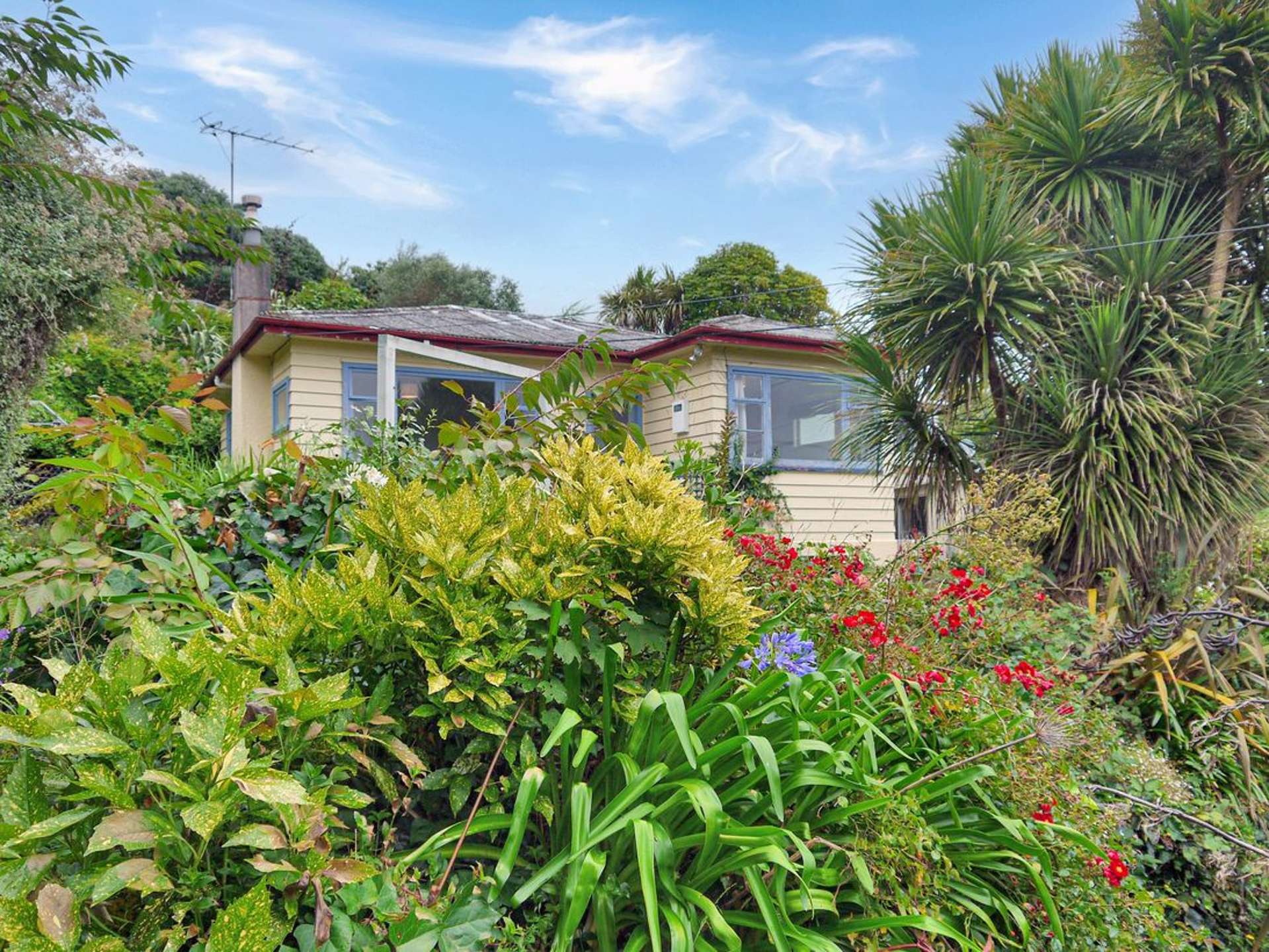 224 Matai Road Raumati Beach_0