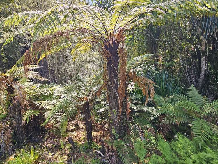 215 Clifton Road Kaiata_36