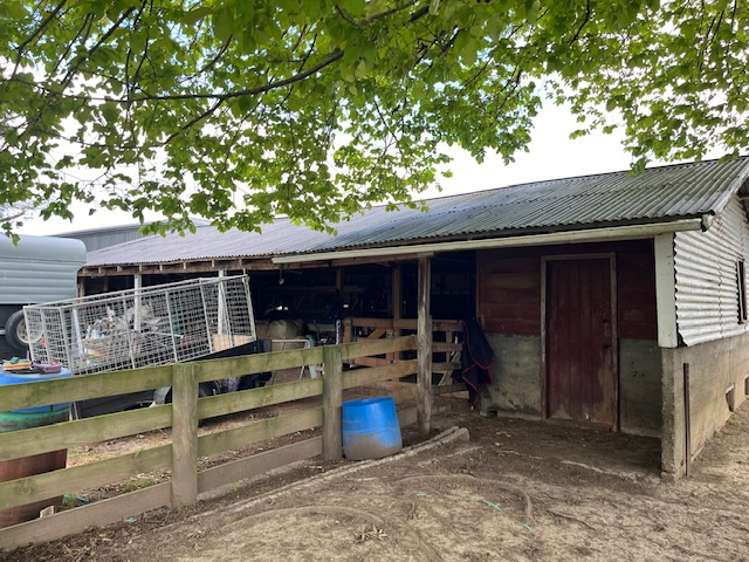 180 Tipapakuku Road Dannevirke_6