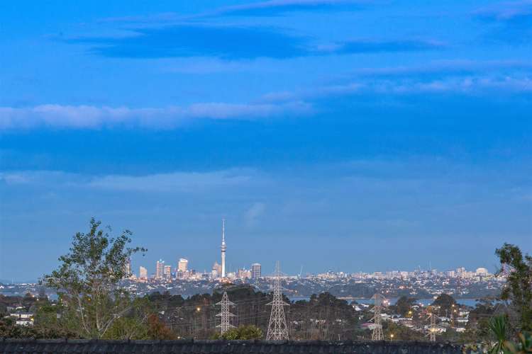 19 Hartley Terrace Massey_14