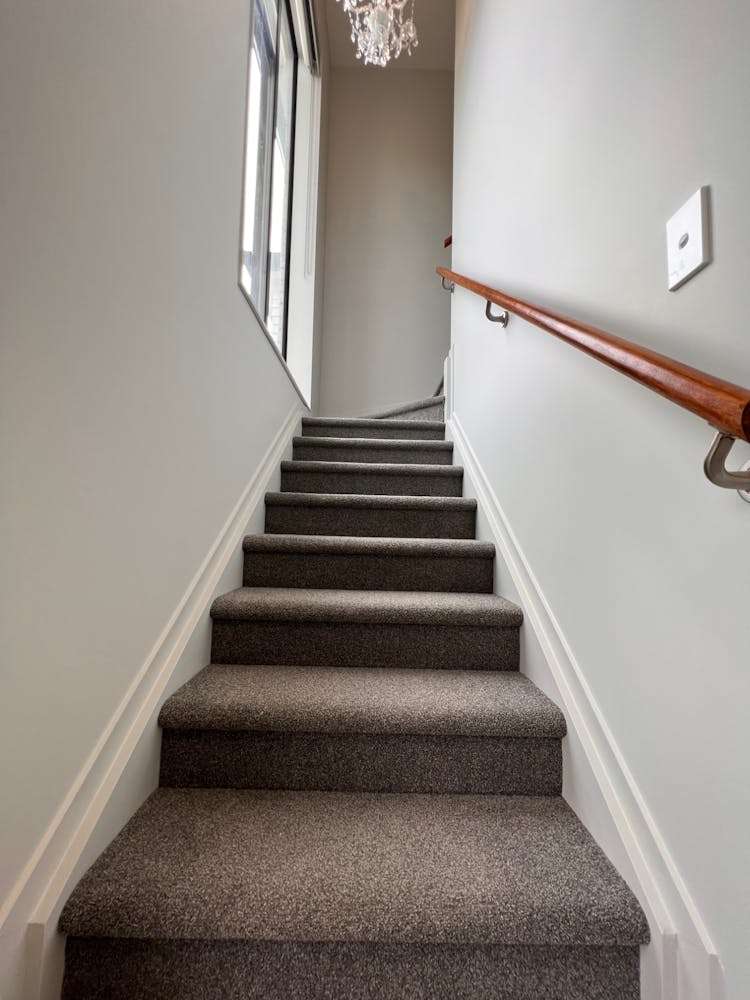 17a Knox Road Swanson_16