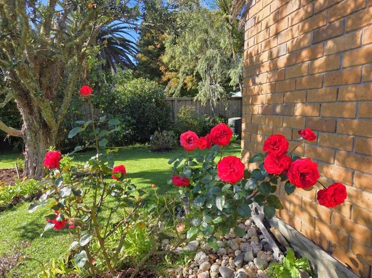 18 Pumpkin Flat Road Kuaotunu_16