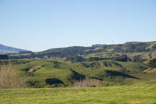 152 Kingsdale Park Drive Aokautere_3