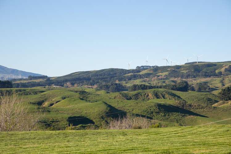 152 Kingsdale Park Drive_3