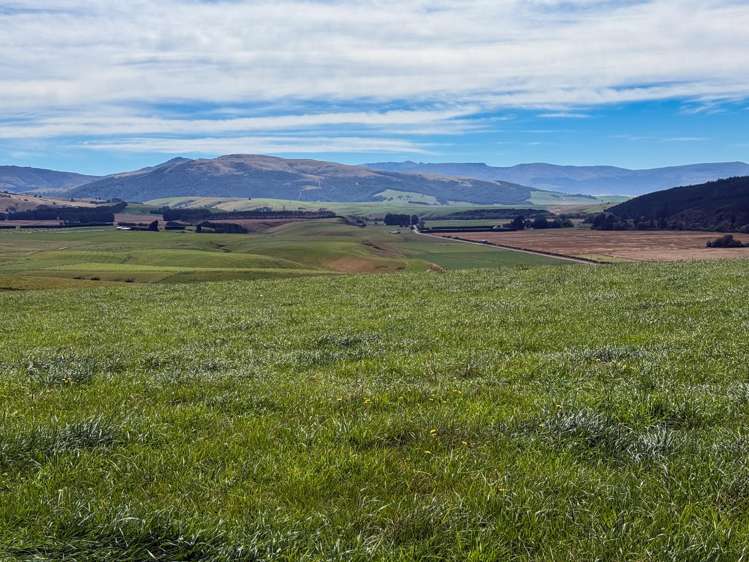 175 Stirling Road Waikaia_12