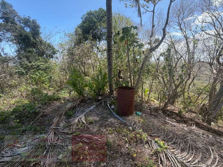 Address withheld Savusavu_12