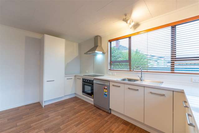 20 Raymond Street Timaru Central_2