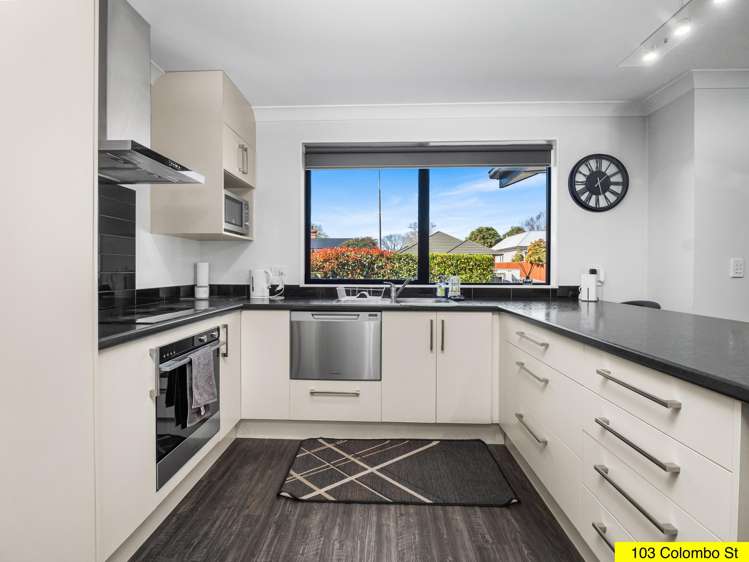 103 Colombo Street Somerfield_8