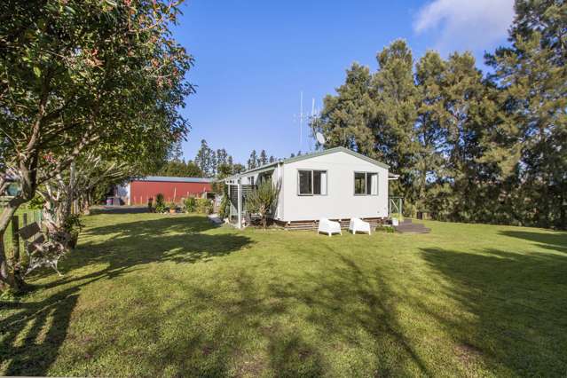 335 Kauri Point Road Katikati_4