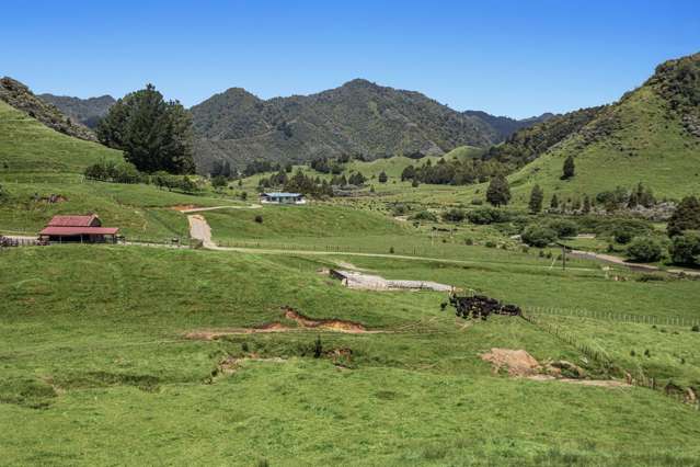 2060 Motu Road Opotiki_1