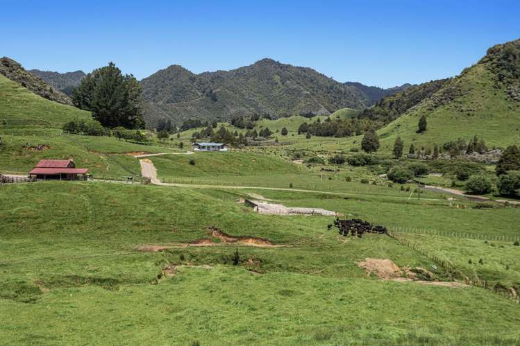 2060 Motu Road Opotiki_1