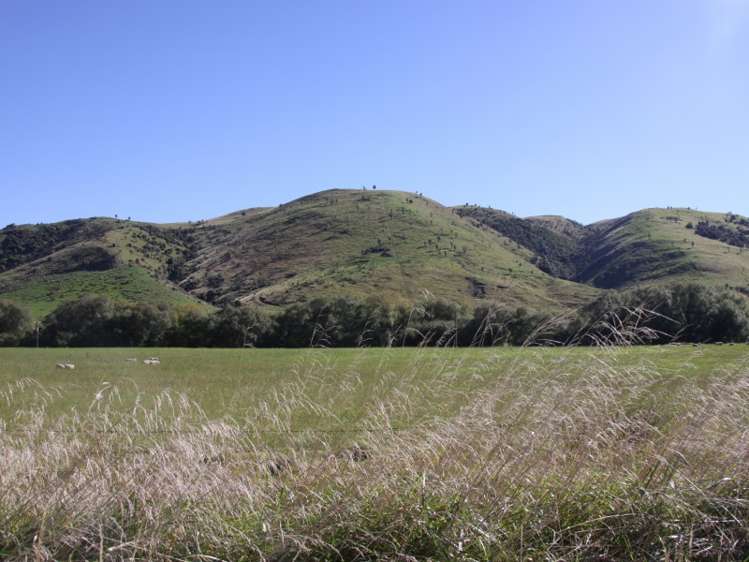 1007 Motunau Beach Road Motunau_1