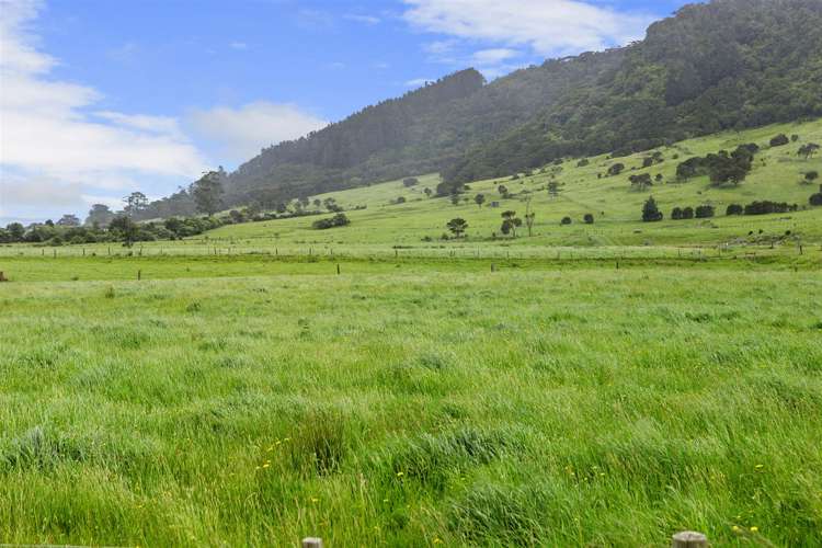 208 Te Aroha-Gordon Road Hauraki Surrounds_25